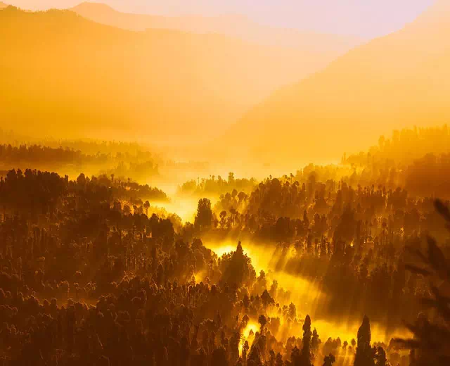 横向きサイズの写真をダウンロードしたい時|LINEのホーム画面をおしゃれにする背景画像や写真まとめ