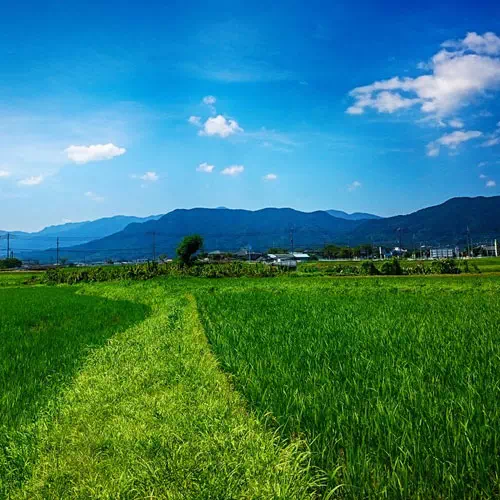 LINEのプロフィール画像に使えるおすすめ無料写真素材まとめ