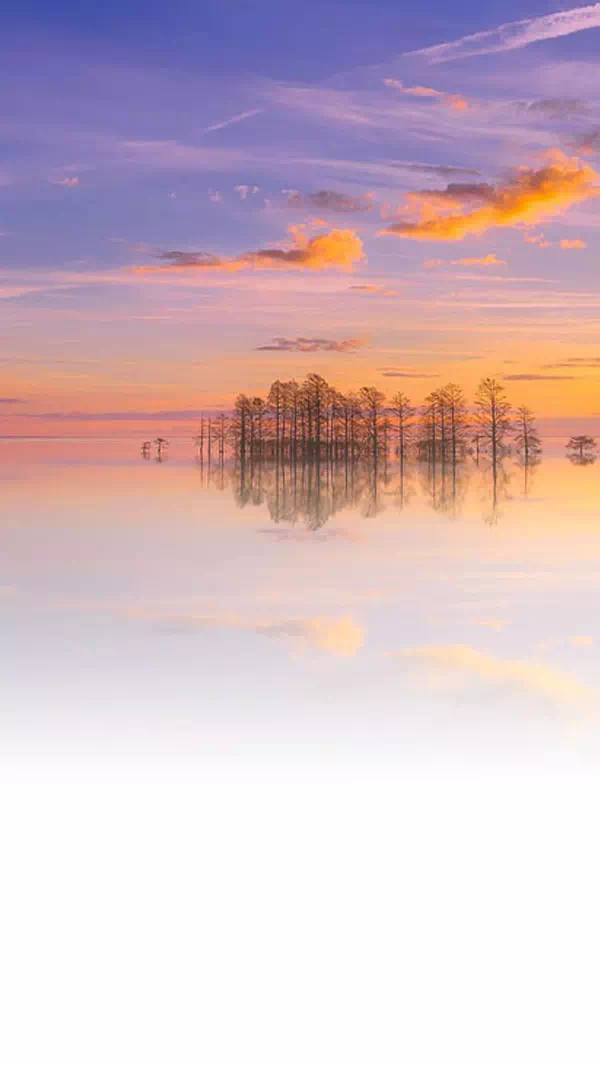 LINEのホーム画面をおしゃれにする背景画像や写真まとめ