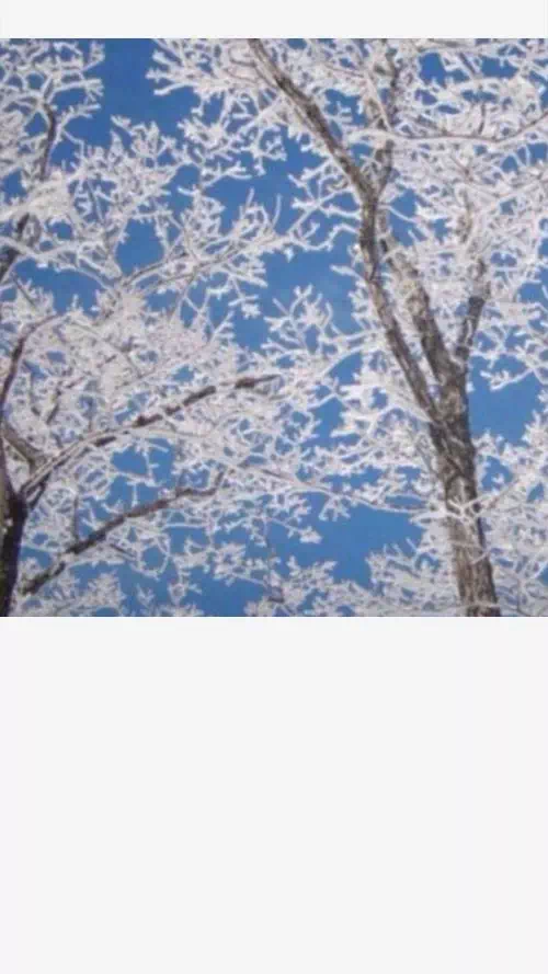 ホーム画面の初期画像一覧から保存(白色の余白)|LINEのプロフィール背景を初期画像にする方法!昔の初期画像一覧も保存できます