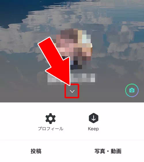 LINE ID確認<li>プロフィール画面から確認する