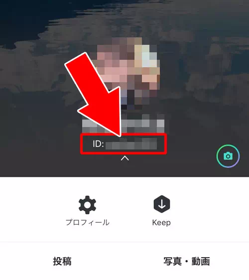 LINE ID確認<li>プロフィール画面から確認する