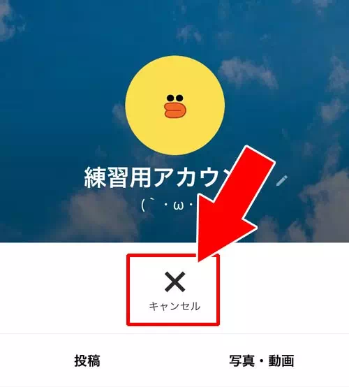 相手のプロフィール画面から招待をキャンセルする|LINEでグループ招待のキャンセル方法!間違えて取り消した時の対処方法も解説