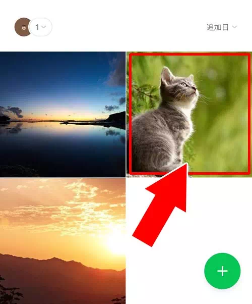 LINEアルバムで写真を転送する方法|LINEアルバムの転送方法!iphoneで一括転送やメール転送もできます