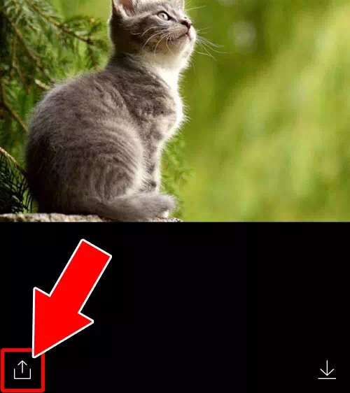 LINEアルバムで写真を転送する方法|LINEアルバムの転送方法!iphoneで一括転送やメール転送もできます