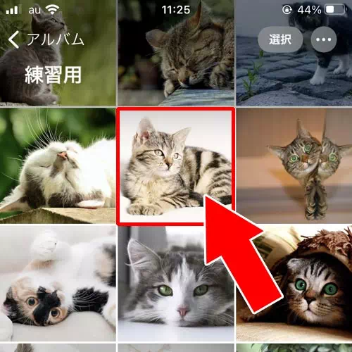 写真や画像のファイルがおかしい|LINEのアイコン(プロフィール画像)が変更できない原因と対処方法