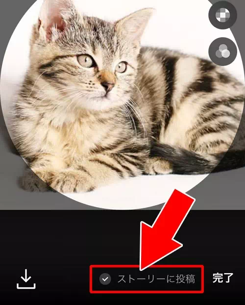 LINEストーリーでの通知|LINEでプロフィール画像の変更方法!変更で通知される仕組みに注意です