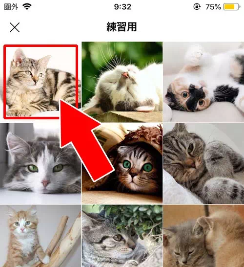 プロフィールアイコンの編集|LINEホーム画面の使い方や設定方法!アイコンや背景の編集方法などまとめ