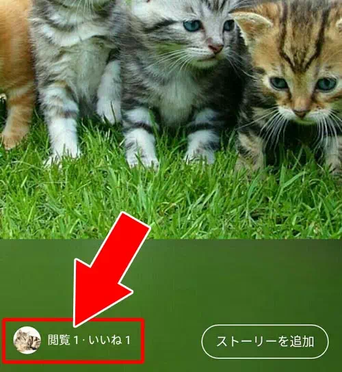 LINEマイストーリーの閲覧者を確認する|LINEのマイストーリーとは?投稿方法や閲覧者を確認する方法を解説