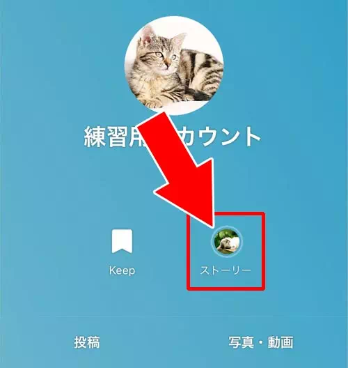 LINEストーリーの公開範囲設定方法!公開範囲が友達にバレるケースも解説します