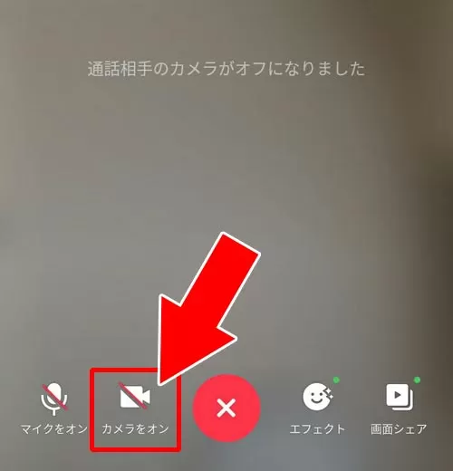 カメラがオフになっている|LINEのビデオ通話で相手が映らない原因と対処方法