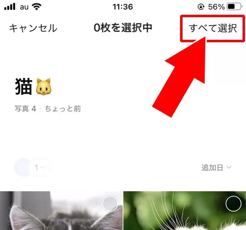 LINEアルバムからGoogleドライブに転送する - Googleドライブを使って共有する|LINEアルバムを共有したい!他の友達と写真共有する方法