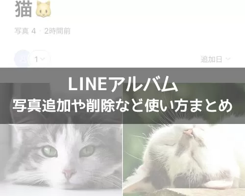 LINEアルバムの作り方!写真追加や削除など使い方まとめ