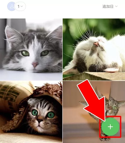 アルバムに写真を追加する|LINEアルバムの作り方!写真追加や削除など使い方まとめ