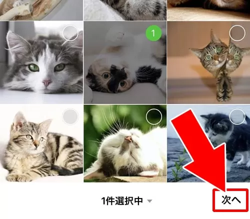 アルバムに写真を追加する|LINEアルバムの作り方!写真追加や削除など使い方まとめ