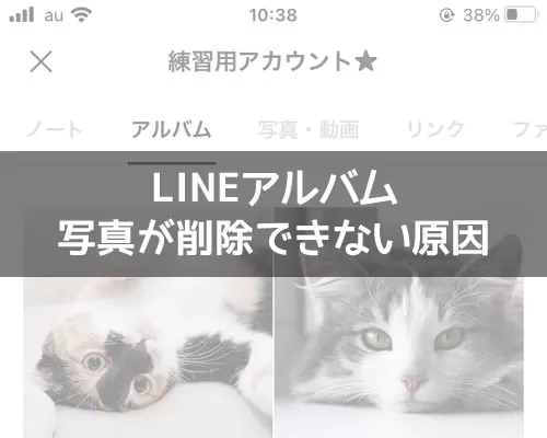 LINEアルバムの写真が削除できない原因と対処方法