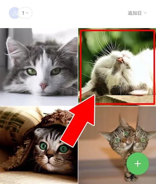 アルバムの写真を1枚ずつ削除する|LINEアルバムの削除方法!写真の一括削除や複数削除などやり方まとめ