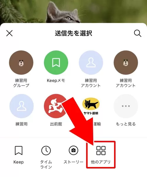 LINEアルバムで写真を転送する方法|LINEアルバムの転送方法!iphoneで一括転送やメール転送もできます