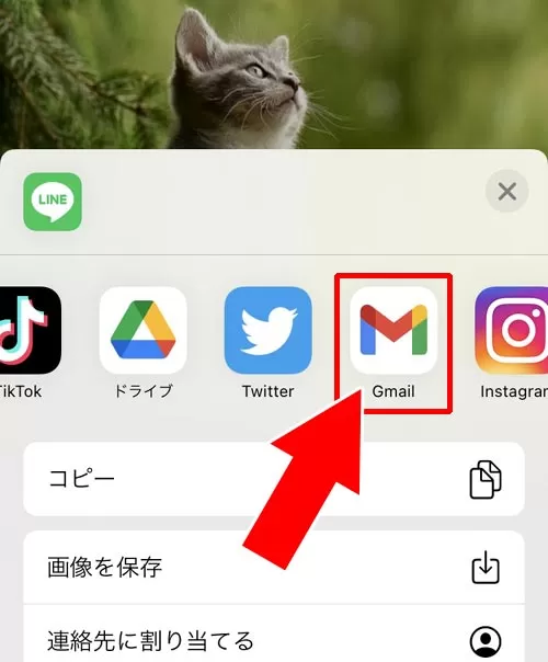LINEアルバムで写真を転送する方法|LINEアルバムの転送方法!iphoneで一括転送やメール転送もできます