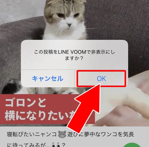 VOOMの『フォロー中』で動画を非表示にする - 動画を個別に非表示する方法|LINE VOOMを非表示にする設定方法!相手や動画を非表示にして対応しよう