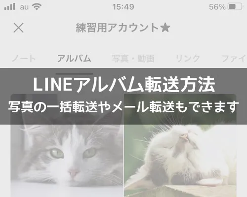 LINEアルバムの転送方法!iphoneで一括転送やメール転送もできます