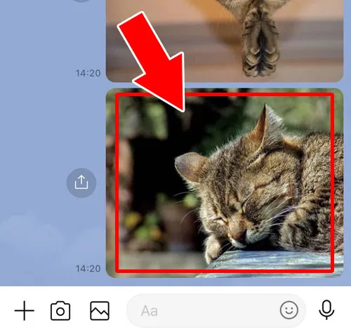 自分の画面と相手の画面の両方で写真削除する方法|LINEトークで送信した写真・画像の削除方法!相手側から削除できないケースもあります
