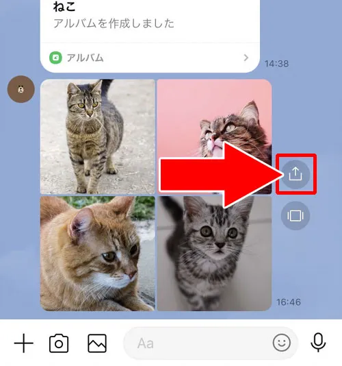 トークルームからそのまま送る|LINEの写真をメールで送る方法!複数写真をまとめて送ることもできます