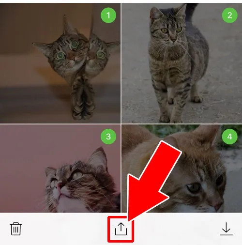 アルバム写真を一括でまとめて転送する|LINEアルバムの転送方法!iphoneで一括転送やメール転送もできます