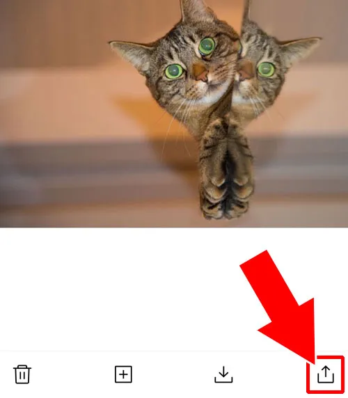 Keepから友達とのトークへ写真を転送してからアルバムに保存する|LINE Keepに保存してる画像をアルバムに保存する方法