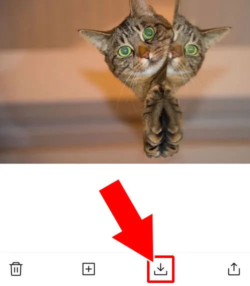 Keepの写真を自分のスマホ内に保存してからアルバムに再度保存する|LINE Keepに保存してる画像をアルバムに保存する方法