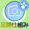 LINEストーリーで足跡の仕組みまとめ!足跡が見れない、回数などの疑問を解説