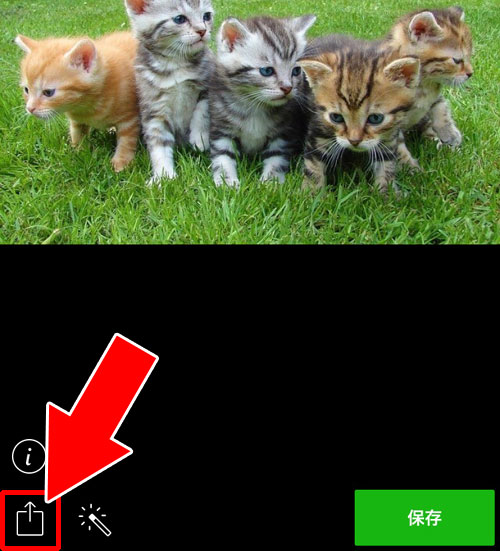 LINEグループ以外のトークにアルバムの写真を転送したい時