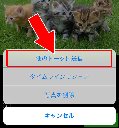 LINEグループ以外のトークにアルバムの写真を転送したい時
